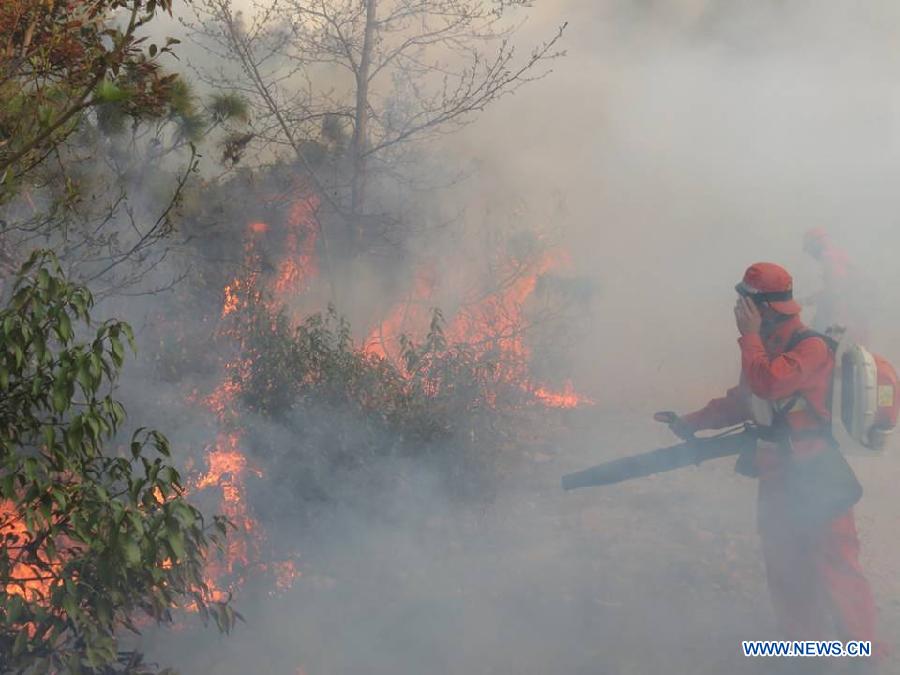 Лесной пожар вспыхнул в Юго-Западном Китае (2)