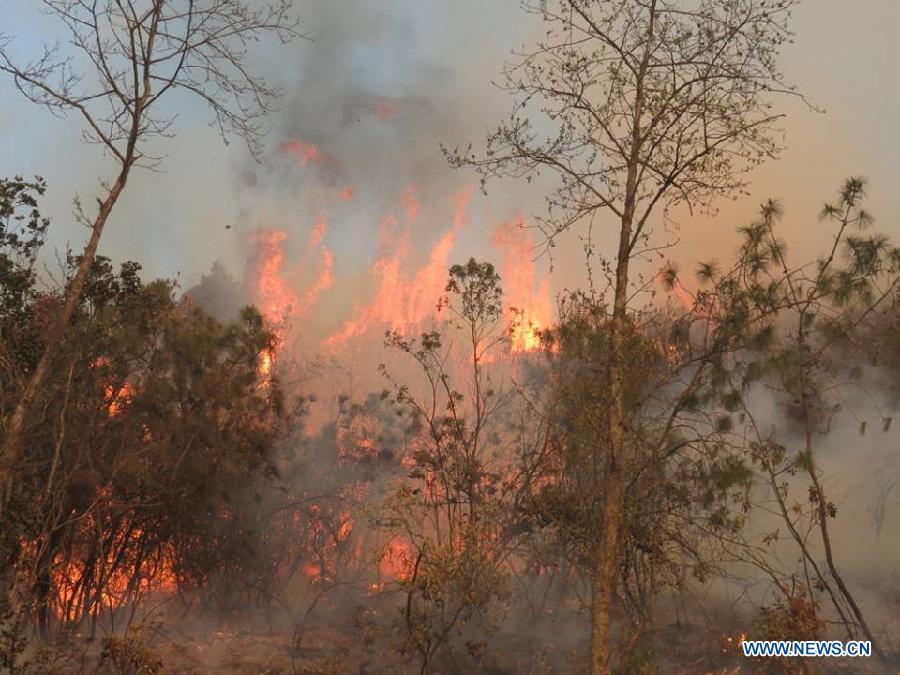 Лесной пожар вспыхнул в Юго-Западном Китае