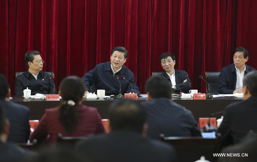 Си Цзиньпин призывает чиновников на селе усилить борьбу с коррупцией (10)