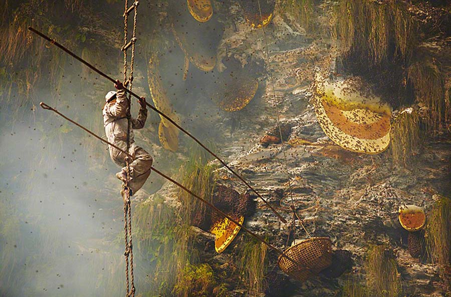 Фото:непальские охотники за медом (2)