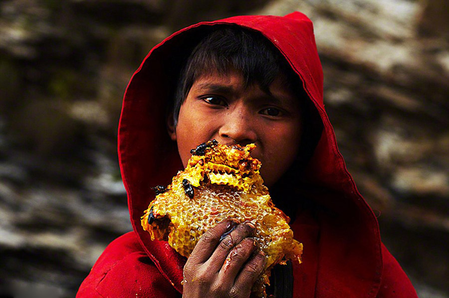 Фото:непальские охотники за медом (3)
