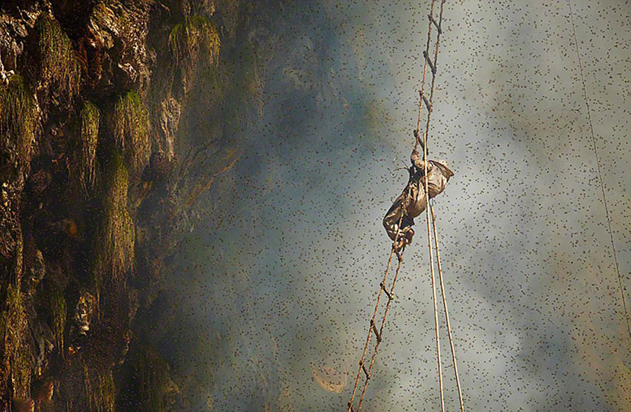 Фото:непальские охотники за медом (4)