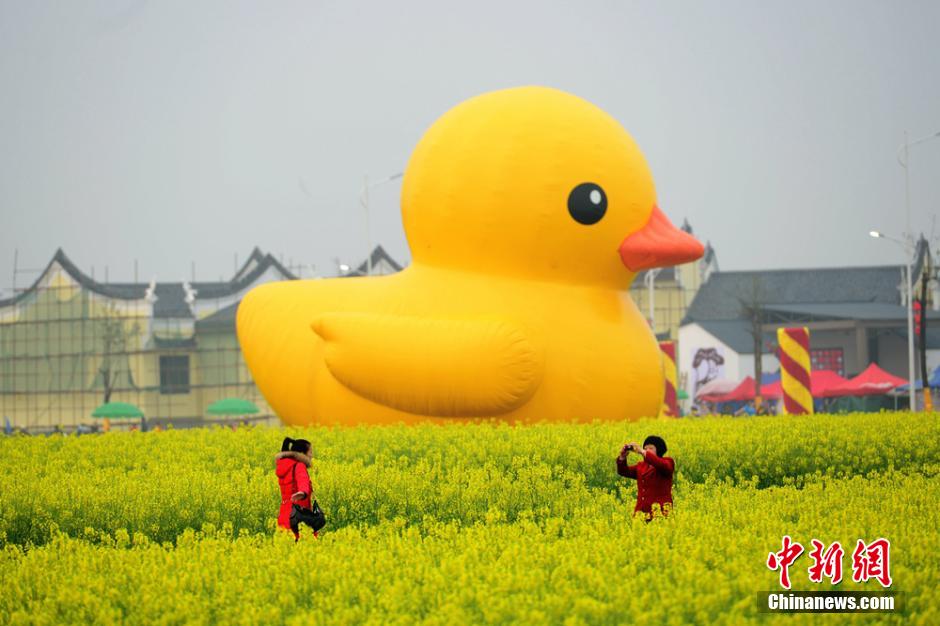 «Благоприятная утка» и «благоприятные яйца» появились на фестивале рапса в уезде Аньжэнь провинции Хунань (7)