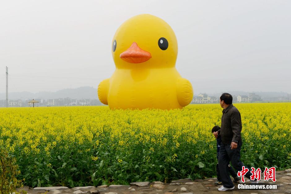 «Благоприятная утка» и «благоприятные яйца» появились на фестивале рапса в уезде Аньжэнь провинции Хунань (3)