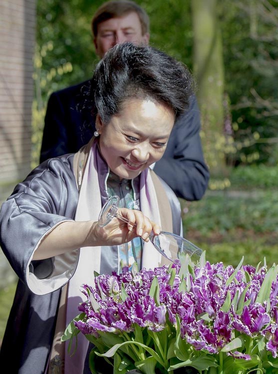 Пэн Лиюань дала название новому сорту тюльпана (5)