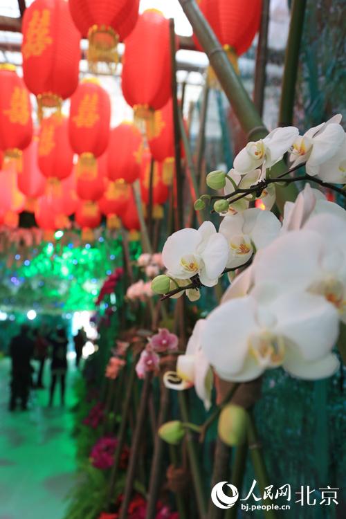 В районе Чанпин проходит 2-й Пекинский сельскохозяйственный карнавал (2)