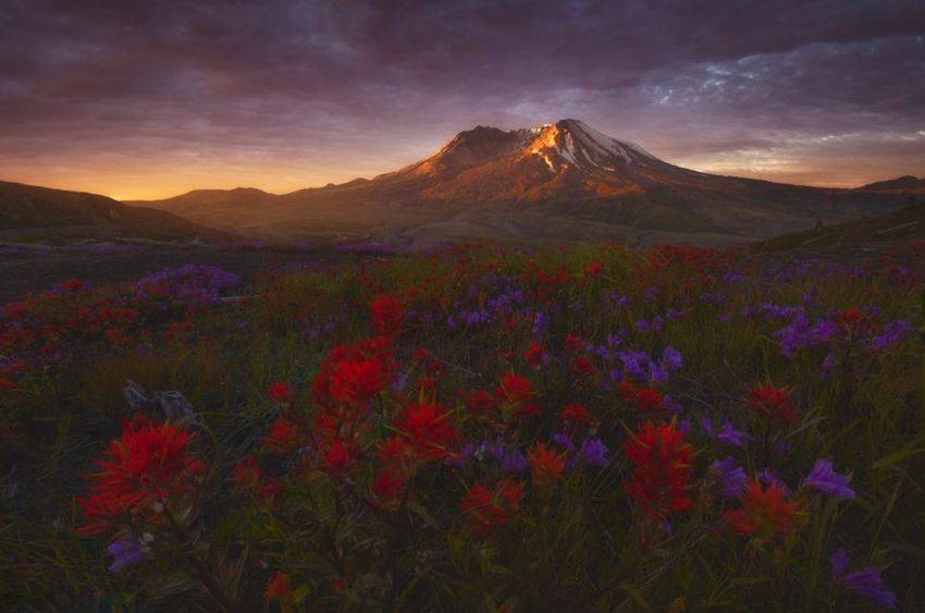 Замечательные американские пейзажи от фотографа Райана Диара(Ryan Dyar) (10)