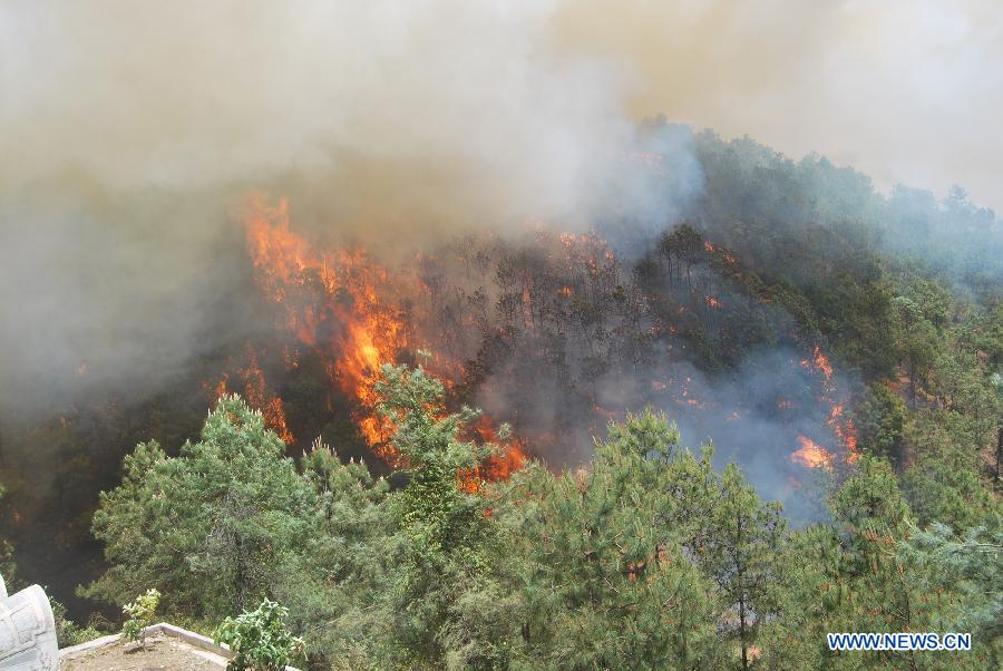 Крупный лесной пожар на юго-западе Китая потушен (2)