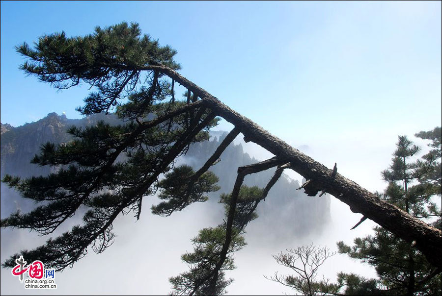 Весенняя пейзажная живопись - море облаков в горах Хуаншань (5)
