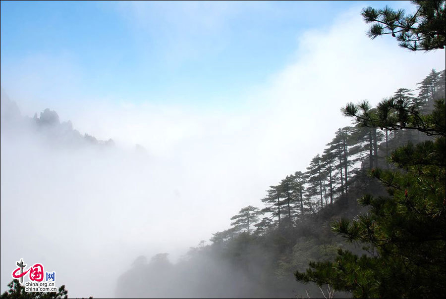 Весенняя пейзажная живопись - море облаков в горах Хуаншань (4)