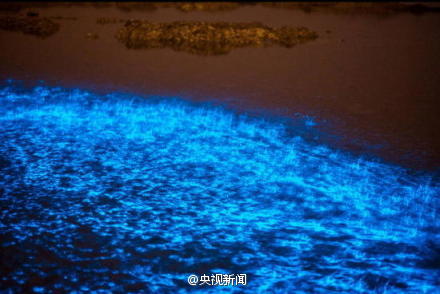 «Флуоресцентный пляж» в городе Далянь: синяя галактика вдалеке 