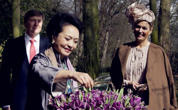 В Пекин завезена первая партия тюльпанов «Готай» 