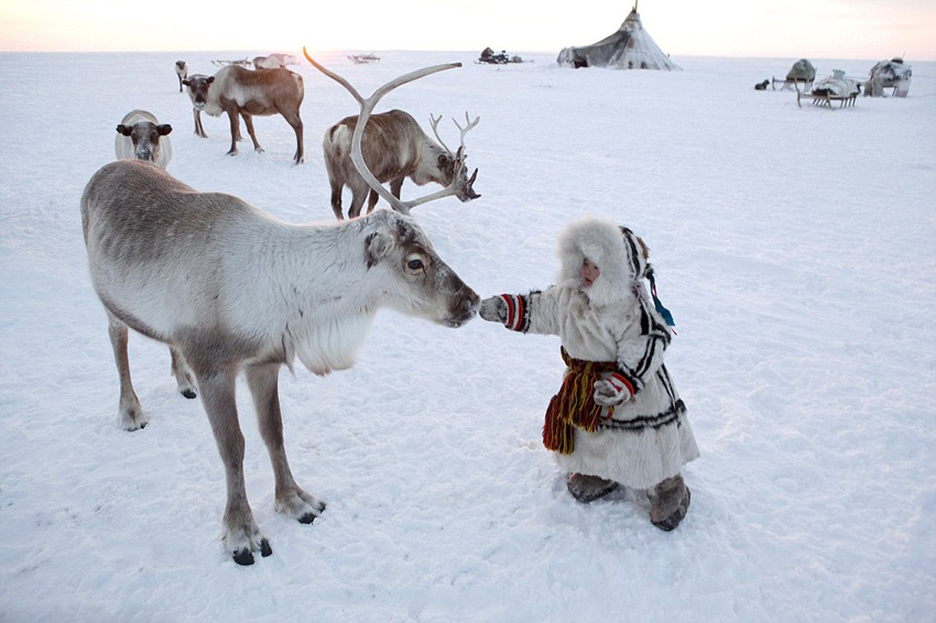 Арктическая культура Сибири в объективе британского фотографа (8)