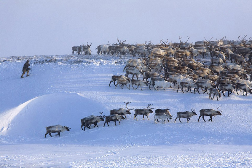 Арктическая культура Сибири в объективе британского фотографа (6)