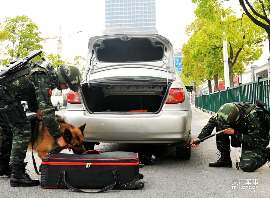 Вооруженная полиция Шанхая провела учения по обеспечению безопасности Саммита СВМДА (5)