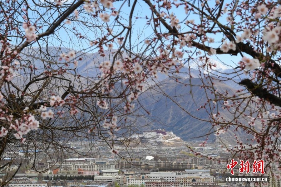 Дворец Потала: сокровище сквозь времена года