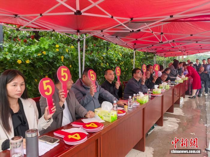 В провинции Хэбэй прошел конкурс на звание лучшей груши