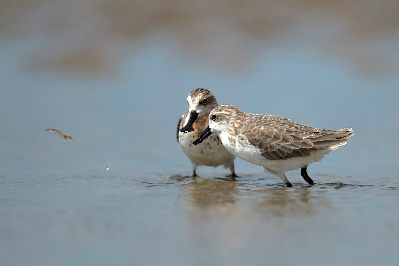 В пров. Цзянсу прошло открытие Всемирного прибрежного форума