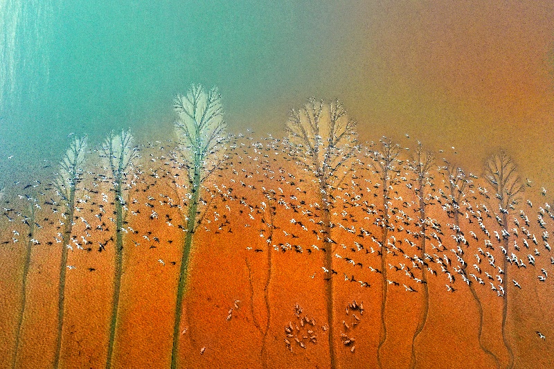 В пров. Цзянсу прошло открытие Всемирного прибрежного форума