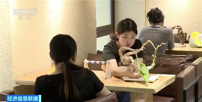 В Китае растет интерес к декоративным птицам