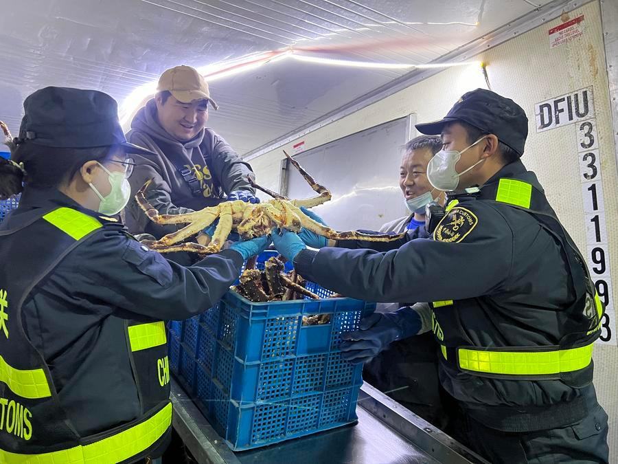 С начала 2025 г. в Синьцзян импортированы живые камчатские крабы на сумму более 100 млн юаней