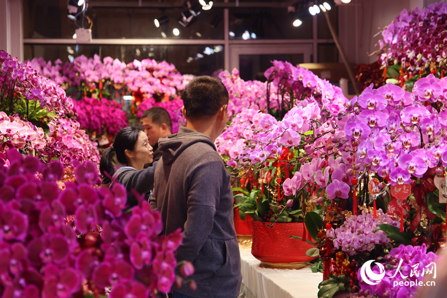 Новогодний бум на цветочном рынке Сямэня