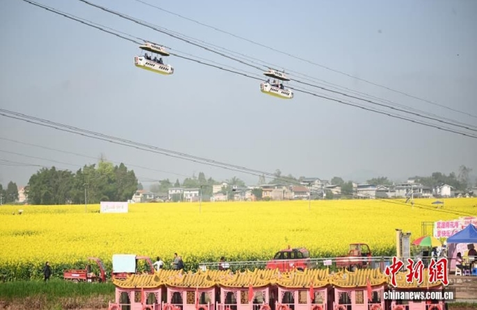 «Цветочная экономика» процветает в «овощной столице Китая»