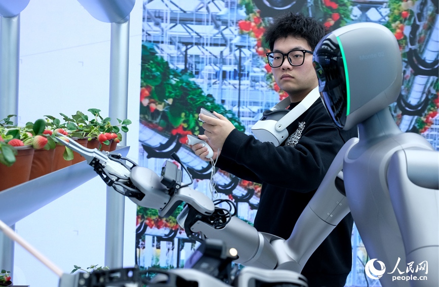 Полигон для роботов в Чжэнчжоу: от «новичков с конвейера» до «мастеров своего дела»