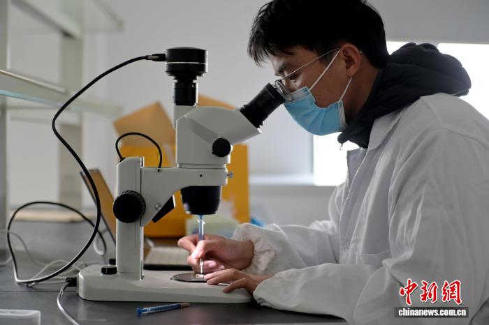 В Аньхое запустили интеллектуальную систему для полива пшеницы