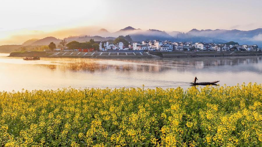 Новые законы Китая по экологии и планированию национального развития приносят пользу устойчивому развитию всего мира -- кыргызский эксперт