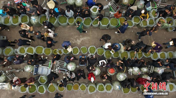 На крупнейшем в Китае рынке зелёного чая начался сезон весенней торговли